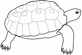 The set includes facts about parachutes, the statue of liberty, and more. Print Download Turtle Coloring Pages As The Educational Tool