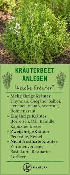 Pin Auf Krautergarten