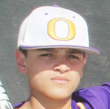 Lions, Lady Lions named All-District Baseball and Softball