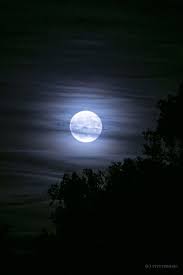 Als vollmond wird der zeitpunkt bezeichnet, an dem sich der mond und die sonne genau gegenüber voneinander befinden. Pin Von Karin Mandl Auf Mond Vollmond Mond