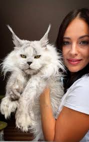 My girl ❤️❤️❤️