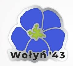 Przypinka KWIAT LNU "Wołyń '43" - Sklep ...