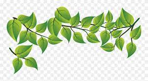  Download Hd Leaf Green Leaves Vector Png Clipart And Use The Free Clipart For Your Creative Project Leaves Vector Nature Png Clip Art
