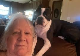 Boston Terrier's reaction to parent's work schedule