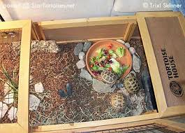 The recommended area for the tortoise is 600 square feet (for example, 30′ x 20′). Indoor Housing For Tortoises