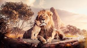 This can be somewha lions are considered to be the king of the jungle due to their size, strength and nu. 1242x2208px Free Download Hd Wallpaper The Lion King Movies Artwork Wallpaper Flare