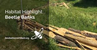 Habitat Highlight: Beetle Banks ⋆ Bee Better Certified®