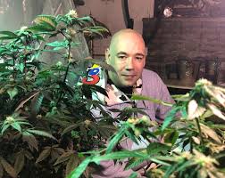 Registered caregivers may grow medical marijuana plants for missouri marijuana card holders if the patient is unable to grow. Missouri Amendment 2 Says Medical Marijuana Patients Can Grow Weed