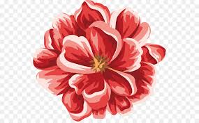 Find the best wallpaper borders at the lowest price from top brands like york, norwall, disney & more. Red Watercolor Flowers Png Download 601 553 Free Transparent Flower Png Download Cleanpng Kisspng