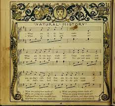 It has a roud folk song index number of 821. What Are Little Boys Made Of Wikipedia