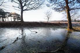 Access detailed hourly and 14 day forecasts, current conditions, maps, warnings, meteograms, historical data and more for southampton. Southampton Weather Snow And Temperatures Which Feel Like 9c Set To Sweep County Daily Echo