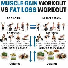 Fitness Hacks 24/7 在 Twitter 上："Muscle Gain Workout Vs Fat Loss Workout $# Musclegain #Fatloss #Workout #Musclegainworkout #Fatlossworkout  #Workoutlist #Workoutroutine #Fitnesscheck #Fitnesshacks  Https://T.co/Id8Gs4Cedn" / Twitter