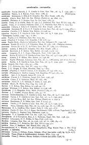 Image result for Tinnea coerulea