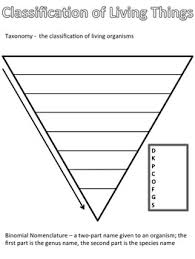 Lets Build Levels Of Classification