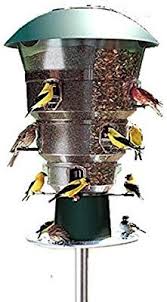 Bird Feeders For Small Birds Amazon Amazon Com Wild Bill S 12 Station Squirrel Proof Bird Feeder Wild Bird Tube Feeders Garden Outdoor Bird Feeders Squirrel Proof Bird Feeders Bird