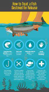 How To Catch And Release A Fish | Partselect.com