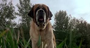 Image result