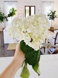 Holy City Chic How I Revive Wilting Hydrangeas Hydrangea Flowers City Chic