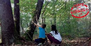 Citation de jesusestsauveur je suis le chef de la tribu, la tête de la table, celui ramène des calories à la maison. Balade Nocturne En Foret Pour Les Kidi Reporters Mayenne
