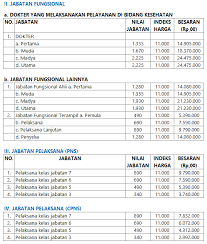 Jabatan fungsional adalah fungsi teknis yang cukup penting dalam memfasilitasi tenaga kesehatan bisa menjalankan tugas, tanggung jawab, dan wewenangnya dalam melayani kesehatan masyarakat. Tunjangan Tambahan Penghasilan Pns Pemprov Jabar 2021 Gaji Dan Tpp Pns