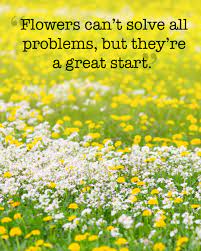 The Sweetest Spring Quotes To Welcome The Season Of Renewal Springtime Quotes Spring Quotes Wonder Quotes