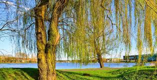 Find cheapest flights from poznan to malta ☑️. Malta I Termy Maltanskie Rodzinna Rekreacja W Poznaniu Dzieciochatki Pl