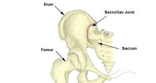Discs are structures that provide the cushioning between the bones of treatment of low back pain from a herniated disc starts with a conservative approach using physical therapy, otc pain relievers and modifying daily. Buttock Pain Causes Injuries Treatment And Rehabilitation