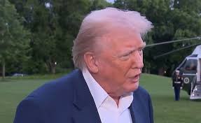 BREAKING: A protestor was just tased at a Town Hall that Marjorie Taylor  Greene was hosting. FAFO HT Gunther Eagleman