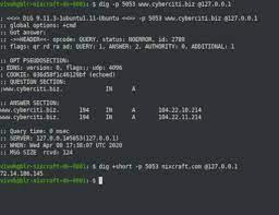 Linux And Unix Dig Command Examples - Nixcraft
