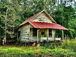 Maybe you would like to learn more about one of these? Old Florida Vi Photograph By Julie Dant