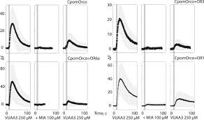 To learn more, visit verizon white pages. Candidate Pheromone Receptors Of Codling Moth Cydia Pomonella Respond To Pheromones And Kairomones Scientific Reports