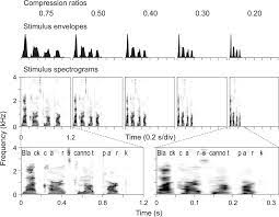 Given below are short and long speeches on time. Temporal Envelope Of Time Compressed Speech Represented In The Human Auditory Cortex Journal Of Neuroscience