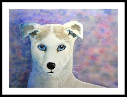 The DPW Painting Challenge