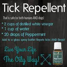 Tick Repellent That S Safe For Humans And Dogs Homemade Tick Repellent Living Essentials Oils Oils