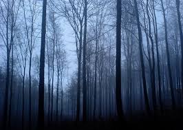 Maybe you would like to learn more about one of these? Creepy Forest Backgrounds Group 59