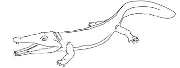 Want to discover art related to archegosaurus? Startsida Fossil Nyautstallningar