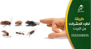 طريقة لطرد الحشرات من البيت