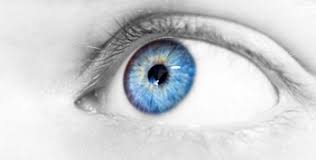 He has blue eyes and blond hair. The Family Tree Of Blue Eyed Individuals The Genetic Genealogist