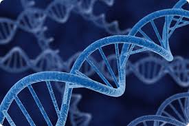 Reproductive Genetics