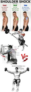 Its place in your next back workout is. Shoulder Shock Front Back Side Shoulders Crunches Workout Fitness Body Abs Workout