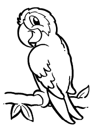 Parrot On Branch Coloring Page Parrot On Branch Coloring Page Bird Coloring Pages Animal Coloring Pages Cartoon Coloring Pages