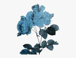 Blue Aesthetic Png In 2020 Blue Aesthetic Tumblr Blue Aesthetic Pastel Blue Aesthetic