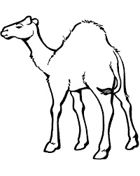 612x792 camel coloring page for kids camel coloring pages free printable. Printable Simple Camel Coloring Page For Both Aldults And Kids