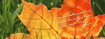 Falling leaves quote facebook cover : Short Fall Quotes Facebook Cover Fall Season Quotes Images Of Autumn Quote Autumn Quotes Facebook Cover Quotes Facebook Cover