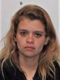 Woman charged with auto theft after Wednesday incident that led to Cottage  Hills search