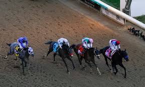 What is amr zedan net worth? The Day At Churchill Downs Medina Spirit Wins The Kentucky Derby The New York Times