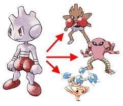 Tyrogue Evolutions Pokemon Pokemon Pokemon Gold And Silver Gold Pokemon