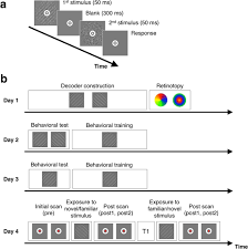 Check spelling or type a new query. Awake Suppression After Brief Exposure To A Familiar Stimulus Communications Biology
