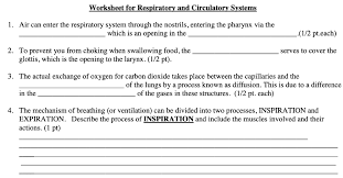 Solved Worksheet For Respiratory And Circulatory Systems 1 Chegg Com