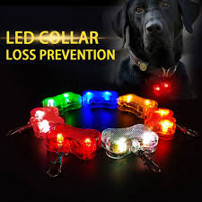 Led Dog Tags Glow Dog Accessories Pet Id Tag Light Up Clip On Dog Pendant Collar Night Dog Walking Bone Shaped Pendant Collars Aliexpress